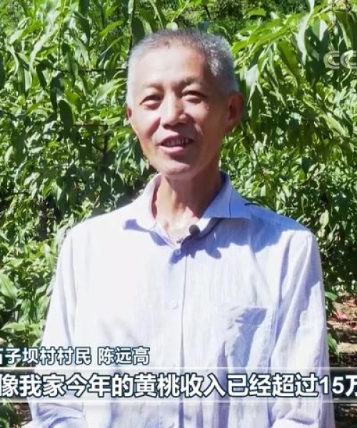 江西桃农数字科技推广优化实战经验分享，提升网站排名策略