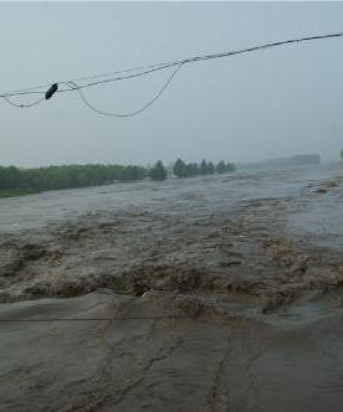 讷河暴雨来袭实时报道，城市积极应对，查看最新消息视频