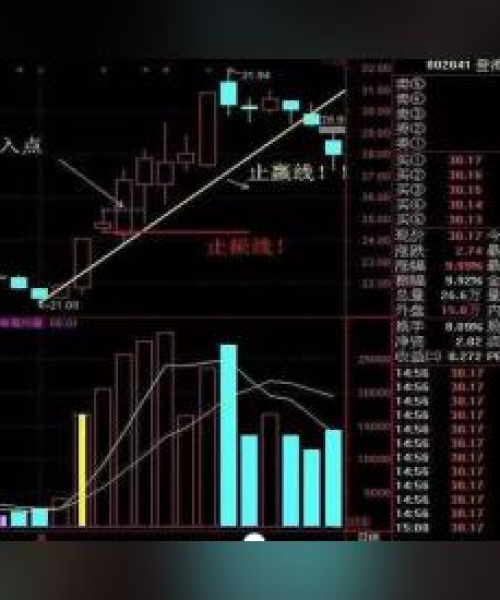 种业板块最新走势解析，行业动态一览