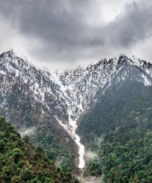 冬雪励志语录，逆境中的奋斗与希望之光