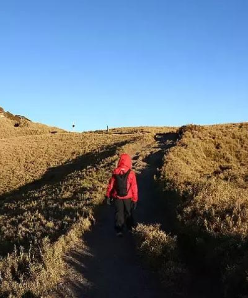 励志语录小山，攀登数据高峰的奋斗之路。